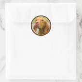 Sticker Rond Vizsla (Sac)