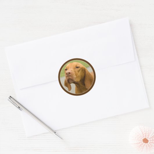 Sticker Rond Vizsla (Enveloppe)