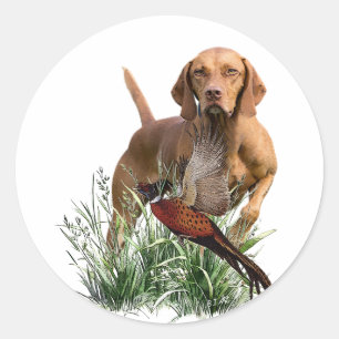 Sticker Rond Vizsla Art hongrois