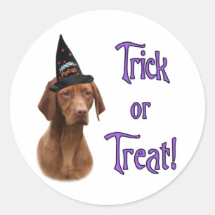 Sticker Rond Vizsla Trick