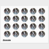 Sticker Rond Voir Un Boo (Feuille)