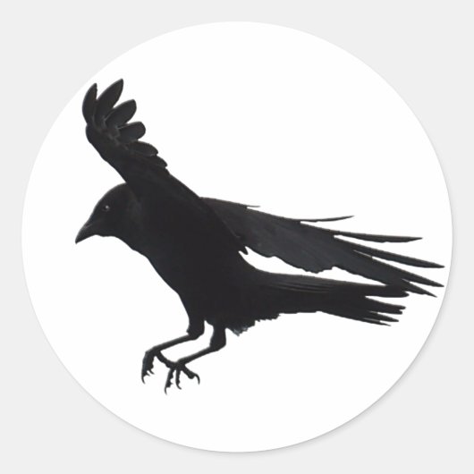 Sticker Rond Vol à l'atterrissage noir Crow Art (Devant)