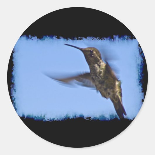 Sticker Rond Vol du colibri (Devant)