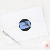 Sticker Rond Vol du colibri (Enveloppe)