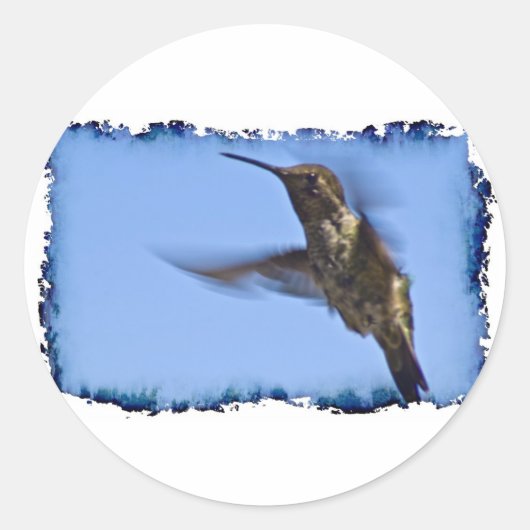 Sticker Rond Vol du colibri (Devant)