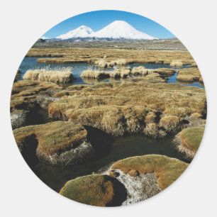 Sticker Rond Volcan Payachalas