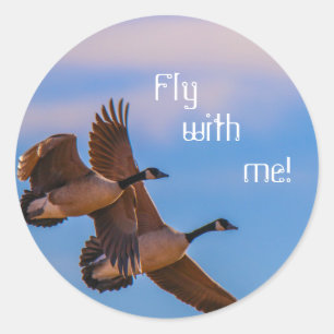 Sticker Rond vole avec moi !