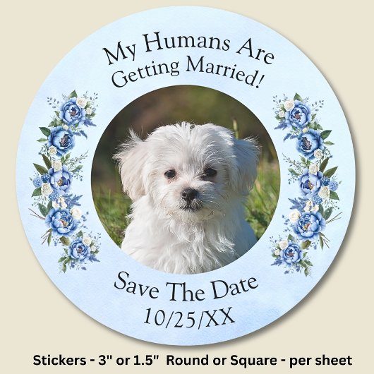 Sticker Rond Votre photo d'animal - Save The Date -  Ensemble d