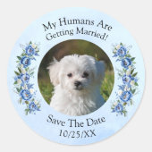 Sticker Rond Votre photo d'animal - Save The Date -  Ensemble d (Devant)