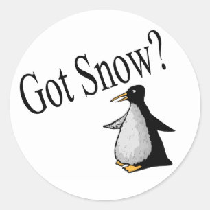 Sticker Rond Vous avez la neige ? (Pingouin)