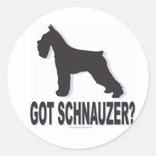 Sticker Rond Vous avez Schnauzer ?