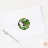 Sticker Rond Vous cherchez l'amour ? Adoptez un chat "secourt"  (Enveloppe)