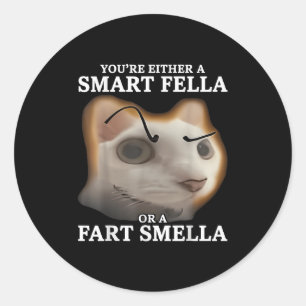 Sticker Rond Vous êtes un Fella intelligent ou un Fart Smella d