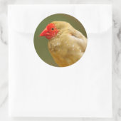 Sticker Rond Vous êtes une étoile ! Finch (Sac)