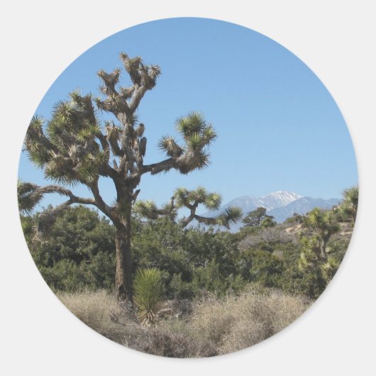 Sticker Rond Vue Arborescence Joshua (Devant)