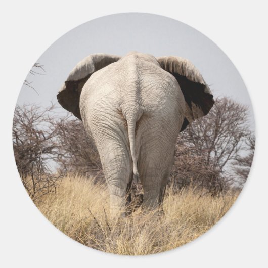 Sticker Rond Vue arrière de l'éléphant (Devant)