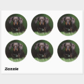Sticker Rond Vue de Dapple teckel coloré (Feuille)