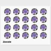 Sticker Rond Vue microscopique (Feuille)