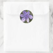 Sticker Rond Vue microscopique (Sac)