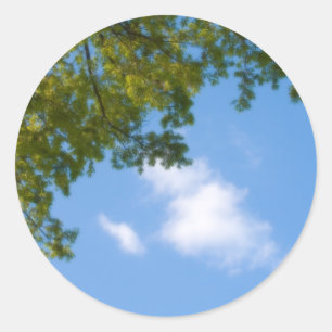 Sticker Rond vue sur le ciel avec le sommet de l'arbre