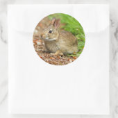 Sticker Rond WA, Redmond, East Cottontail bébé lapin (Sac)