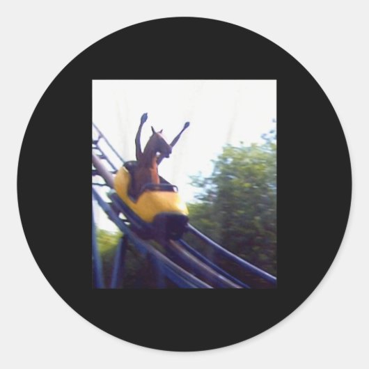 Sticker Rond Wacky Horse Riding Roller Coaster Meme Internet Fu (Devant)