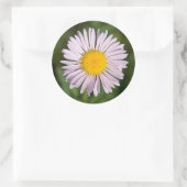 Sticker Rond Washington, Cascade Range, Mont Baker (Sac)