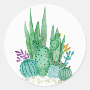 Sticker Rond Watercolor , cactus , succulents