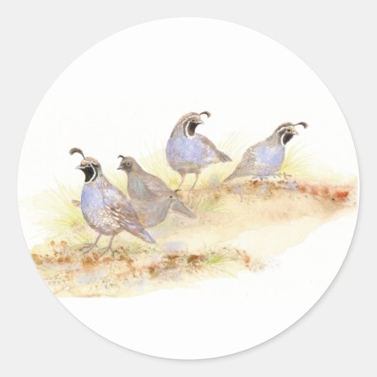 Sticker Rond  Watercolor California Quail (Devant)