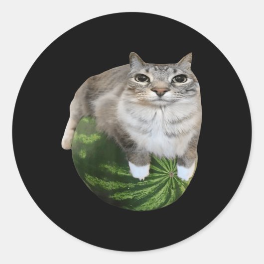 Sticker Rond Watermelon Cat Silly Cat Meme (Devant)