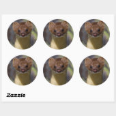 Sticker Rond Weasel à longue queue (Feuille)