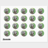 Sticker Rond Weimaraner (Feuille)