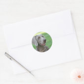 Sticker Rond Weimaraner (Enveloppe)