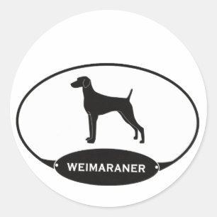 Sticker Rond Weimaraner