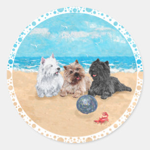 Sticker Rond Westie avec des terriers Cairn à la plage