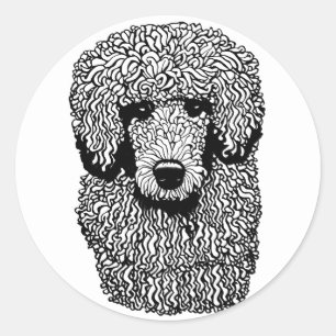 Sticker Rond Whimsical Poodle Chien Tête Animaux Animaux