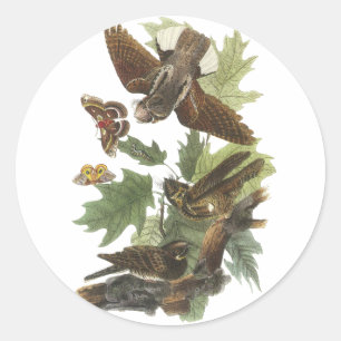 Sticker Rond Whip-poor-will, John Audubon