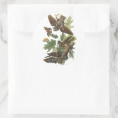 Sticker Rond Whip-poor-will, John Audubon (Sac)