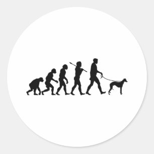 Sticker Rond Whippet