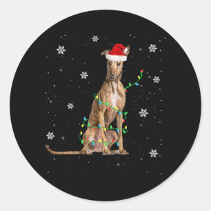 Sticker Rond Whippet Christmas Light mignet Père Noël Whippet X