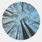 Sticker Rond Whispers of the Whisper Forest (Devant)