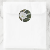 Sticker Rond White Beach Spider Lily Lys Photo Fleur (Sac)