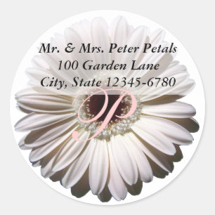 Sticker Rond White Gerbera Daisy Adresse