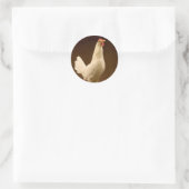 Sticker Rond White Leghorn (Sac)