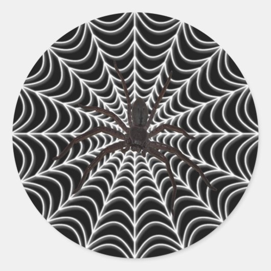 Sticker Rond White Spider Web et Black Spider Halloween (Devant)