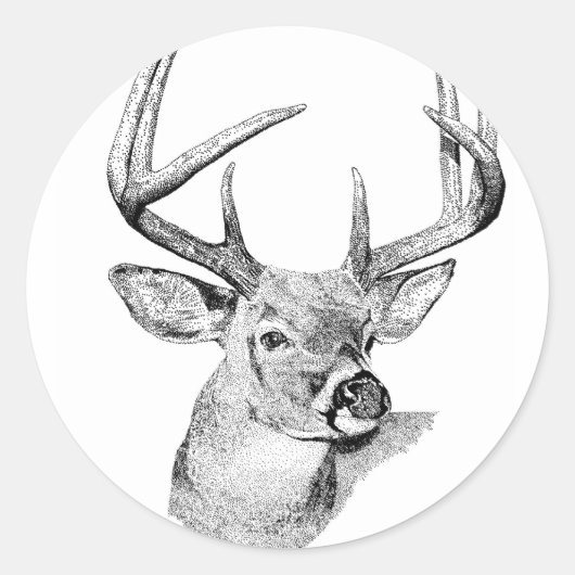Sticker Rond Whitetail Deer (Devant)