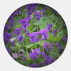 Sticker Rond WI bois violets marqueteurs