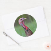 Sticker Rond Wild Tom (Enveloppe)