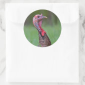 Sticker Rond Wild Tom (Sac)