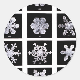 Sticker Rond Wilson Bentley Snowflakes